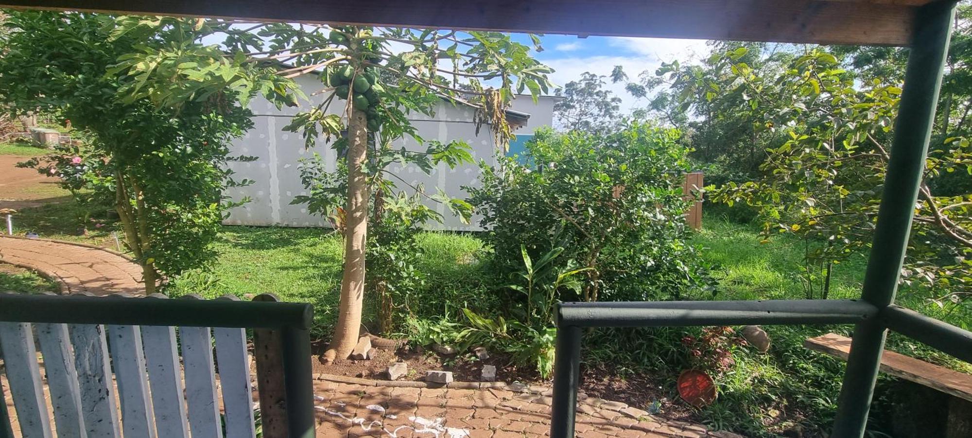 Hostal Henua Roa Hanga Roa Ngoại thất bức ảnh